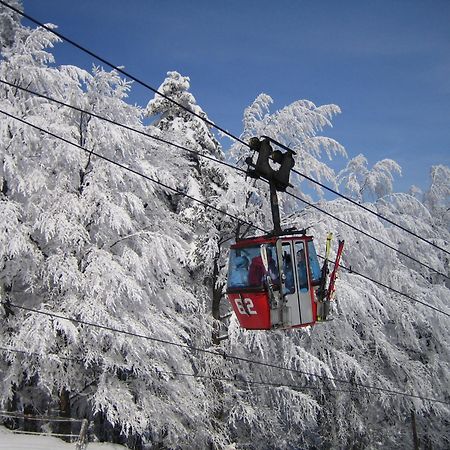 Pohorje Village Wellbeing Resort - Forest Apartments Videc Hočko Pohorje Zewnętrze zdjęcie