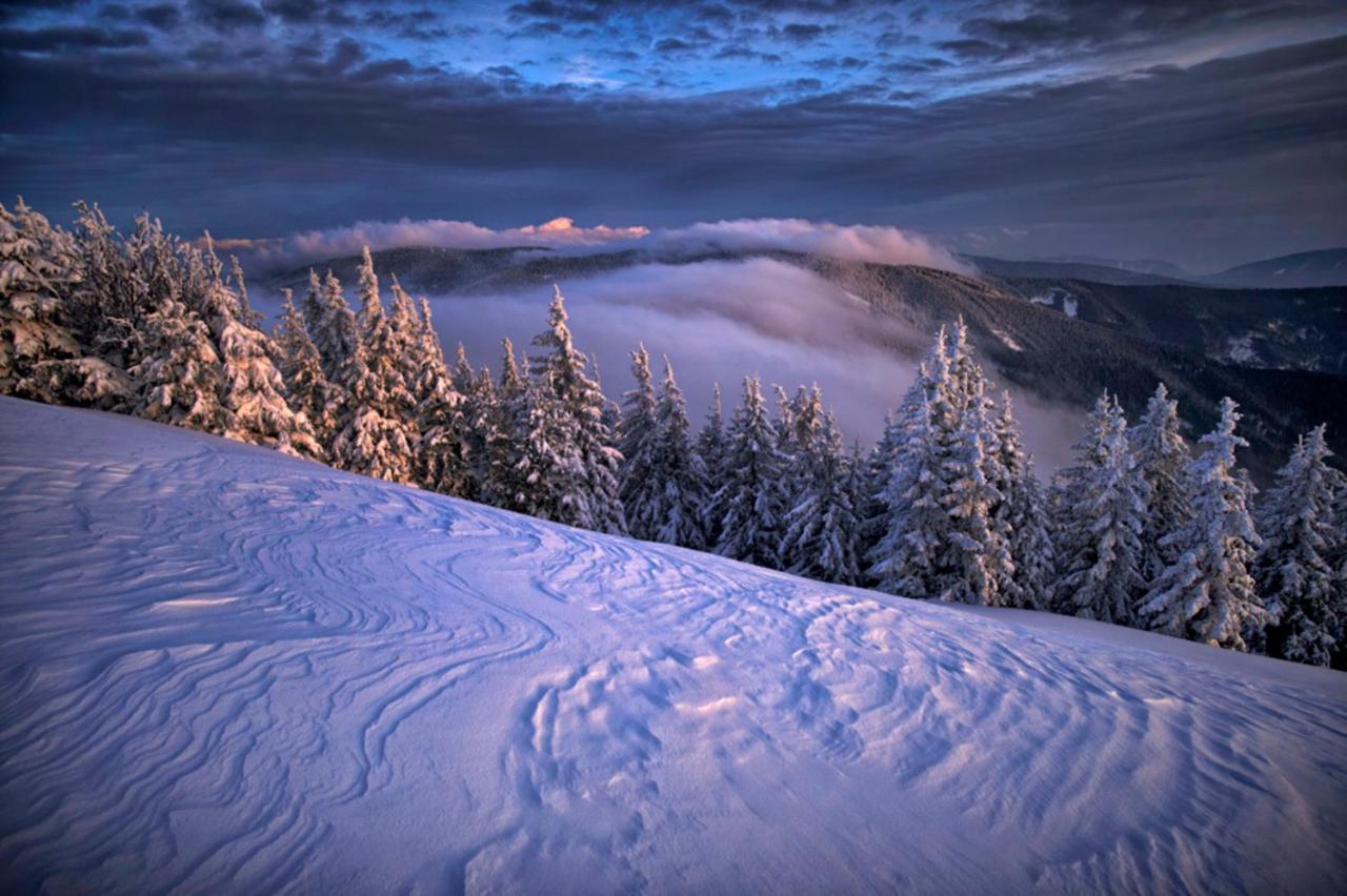 Pohorje Village Wellbeing Resort - Forest Apartments Videc Hočko Pohorje Zewnętrze zdjęcie