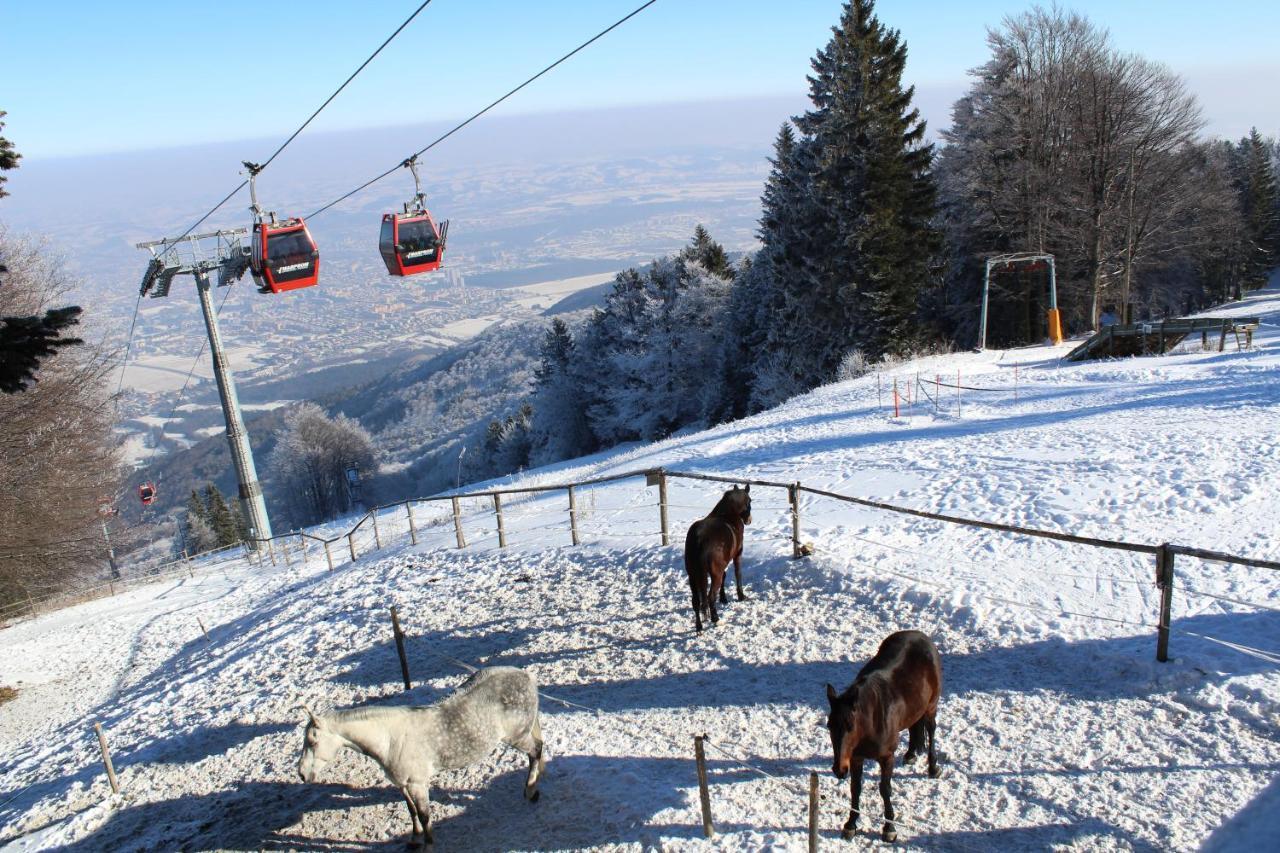 Pohorje Village Wellbeing Resort - Forest Apartments Videc Hočko Pohorje Zewnętrze zdjęcie