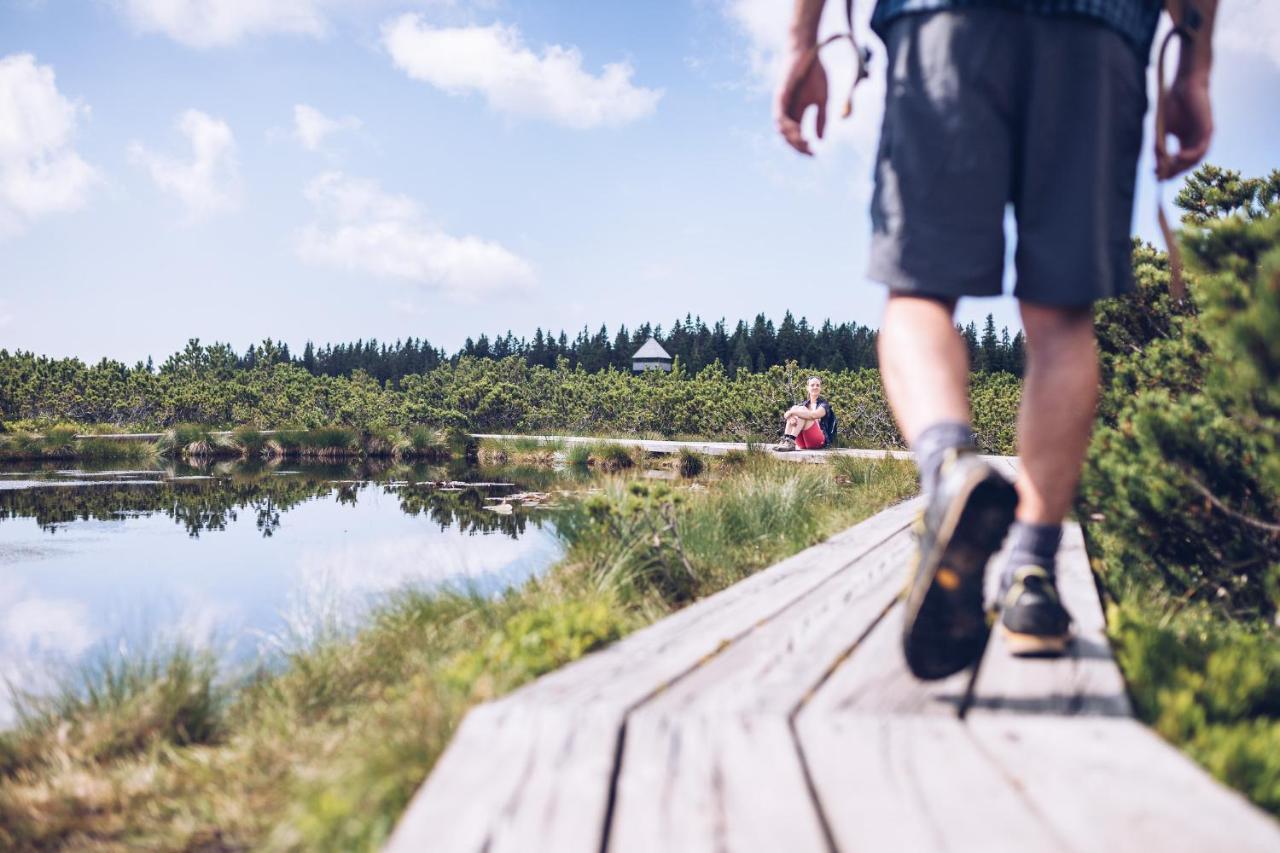 Pohorje Village Wellbeing Resort - Forest Apartments Videc Hočko Pohorje Zewnętrze zdjęcie