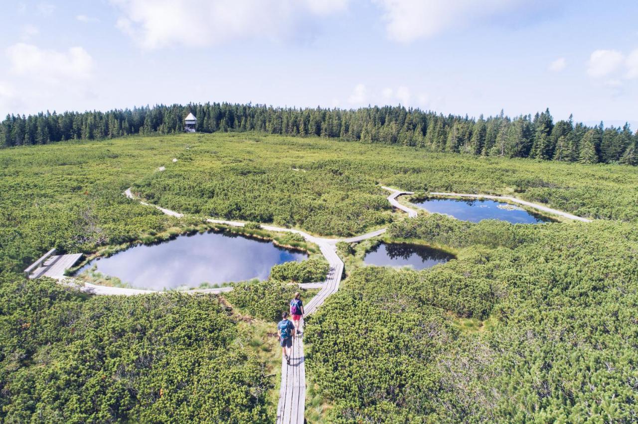 Pohorje Village Wellbeing Resort - Forest Apartments Videc Hočko Pohorje Zewnętrze zdjęcie
