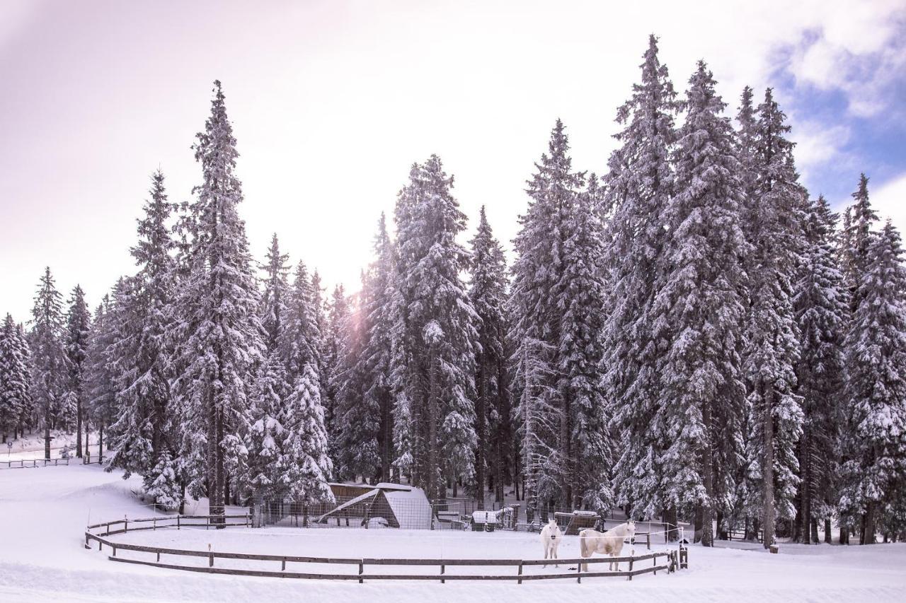 Pohorje Village Wellbeing Resort - Forest Apartments Videc Hočko Pohorje Zewnętrze zdjęcie