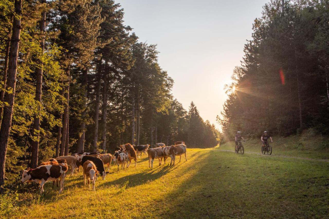 Pohorje Village Wellbeing Resort - Forest Apartments Videc Hočko Pohorje Zewnętrze zdjęcie