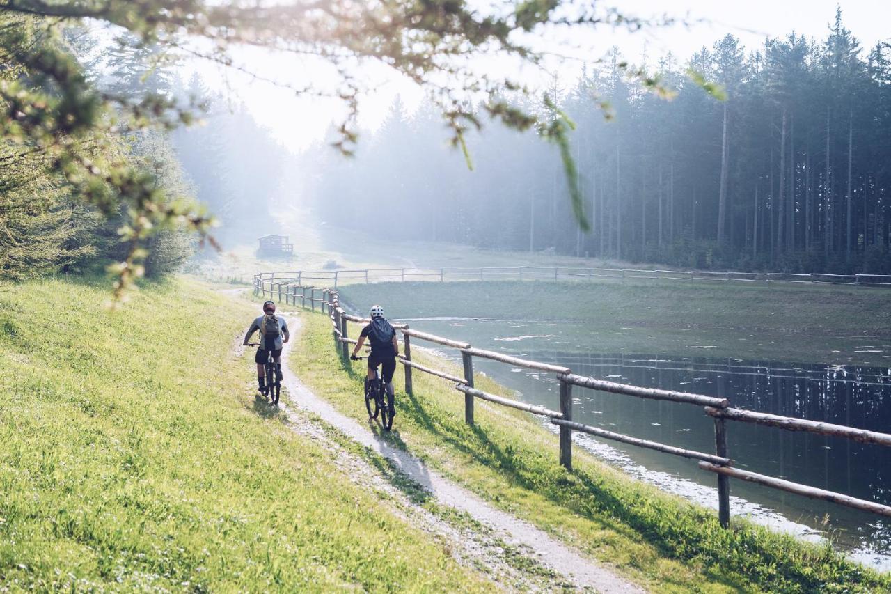 Pohorje Village Wellbeing Resort - Forest Apartments Videc Hočko Pohorje Zewnętrze zdjęcie