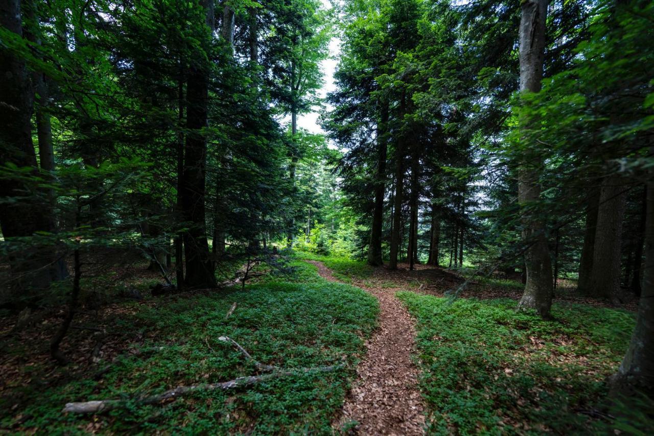 Pohorje Village Wellbeing Resort - Forest Apartments Videc Hočko Pohorje Zewnętrze zdjęcie