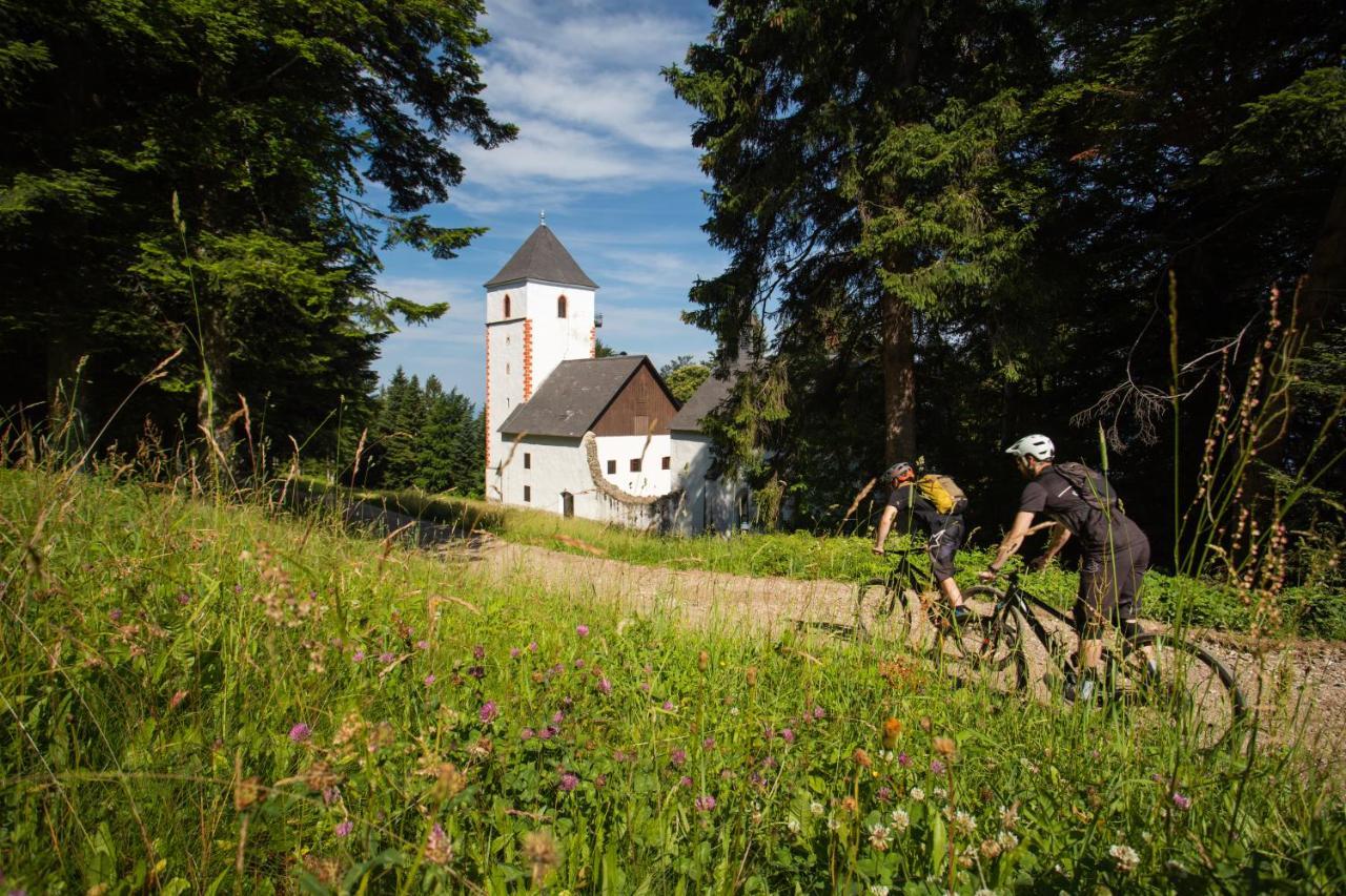Pohorje Village Wellbeing Resort - Forest Apartments Videc Hočko Pohorje Zewnętrze zdjęcie