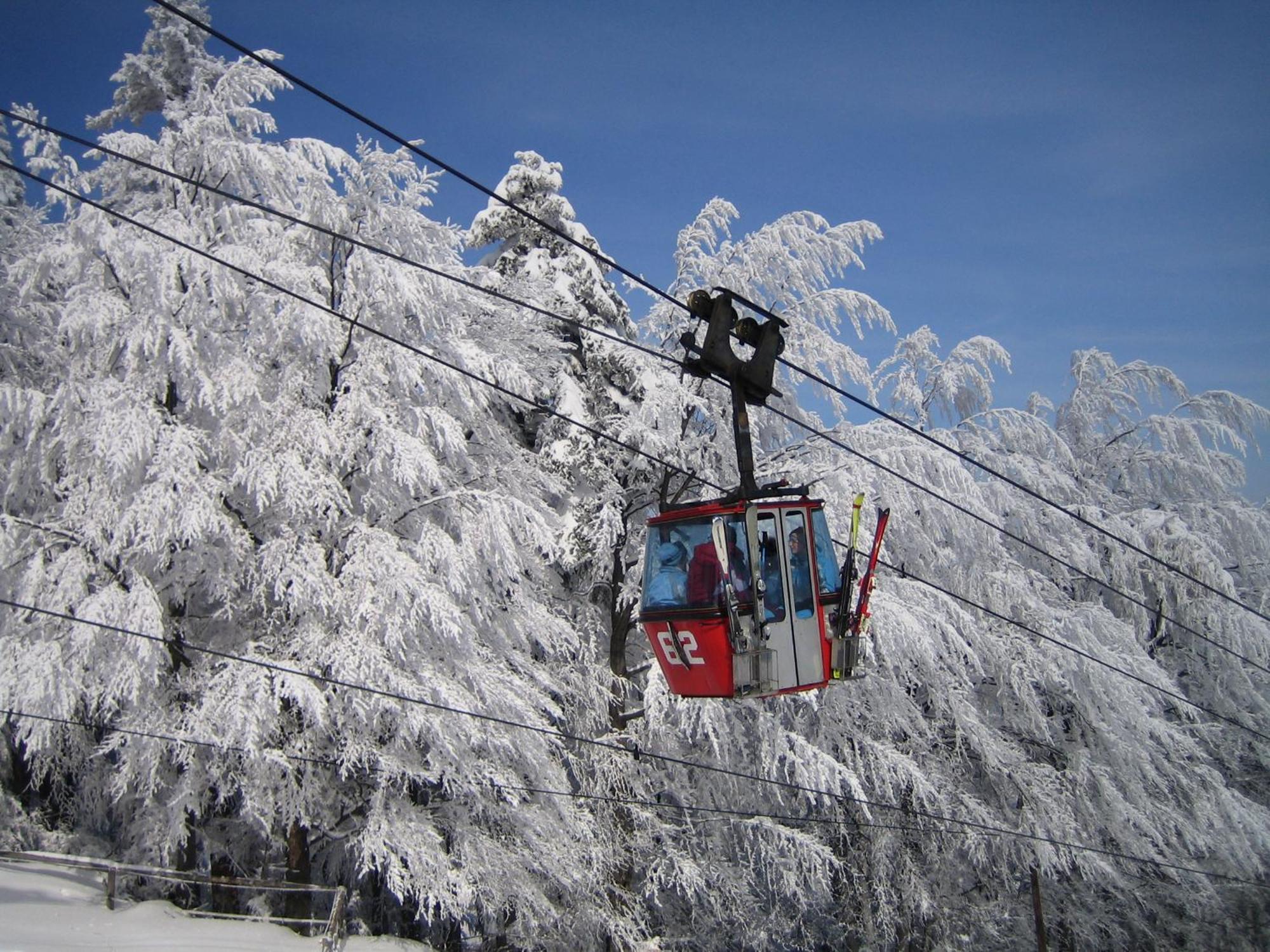 Pohorje Village Wellbeing Resort - Forest Apartments Videc Hočko Pohorje Zewnętrze zdjęcie
